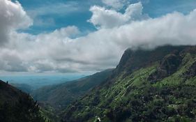 Two Rock Vista